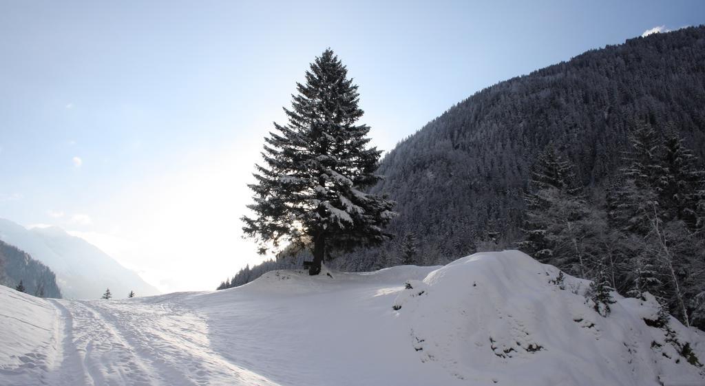 Apartments Haus Schoen - Preise Inclusive Pitztal Sommer Card Jerzens Dış mekan fotoğraf