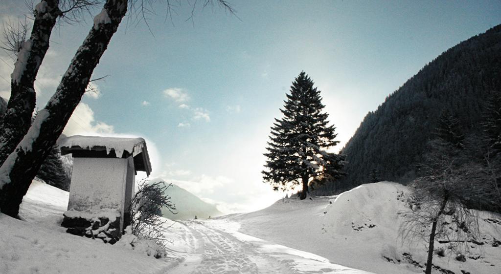 Apartments Haus Schoen - Preise Inclusive Pitztal Sommer Card Jerzens Dış mekan fotoğraf