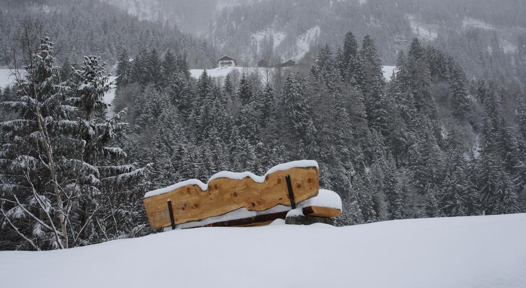 Apartments Haus Schoen - Preise Inclusive Pitztal Sommer Card Jerzens Dış mekan fotoğraf